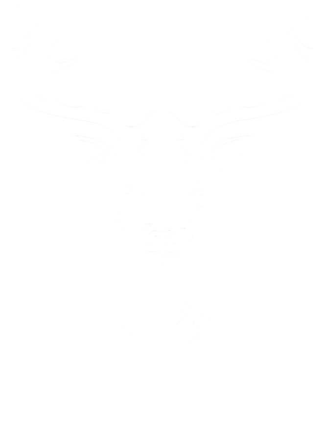 Ice Bar Knokke